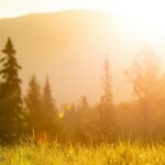 Lot 7 Trout Pond Lane