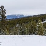 Lot 7 Trout Pond Lane