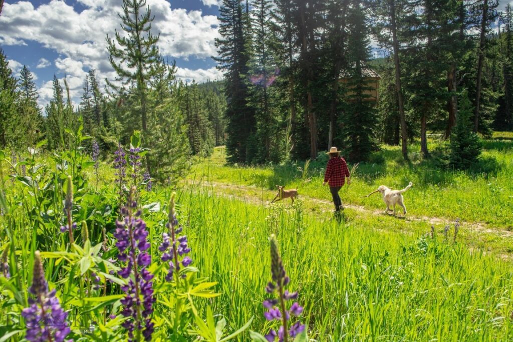 Lot 7 Trout Pond Lane