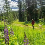 Lot 7 Trout Pond Lane