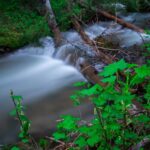 Lot 7 Trout Pond Lane