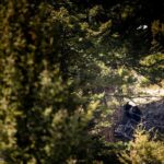 Big Sky MT 59716 - 13