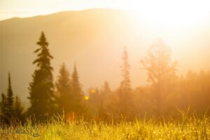 Lot 7 Trout Pond Lane, Big Sky MT 59716