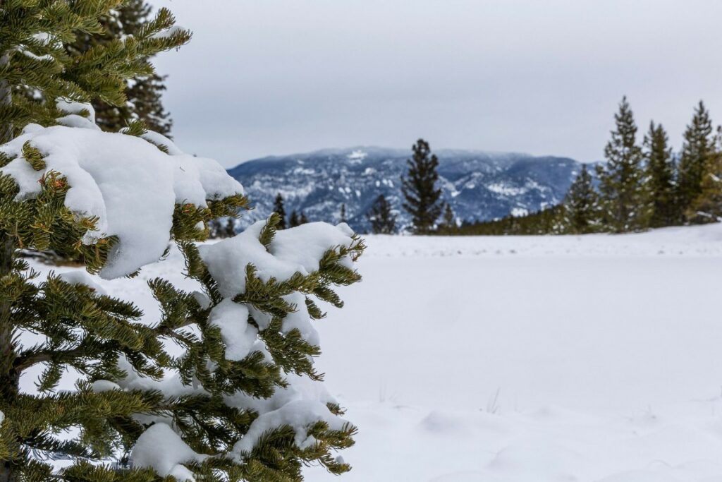 Lot 7 Trout Pond Lane