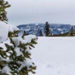 Lot 7 Trout Pond Lane