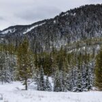 Lot 7 Trout Pond Lane