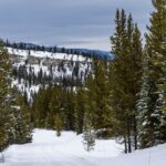 Big Sky MT 59716 - 5