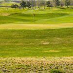 Bozeman MT 59718 - 22