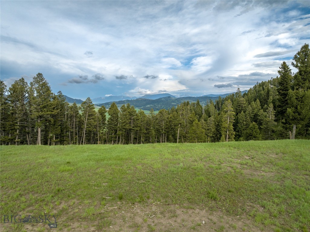 Bozeman MT 59715 - 10