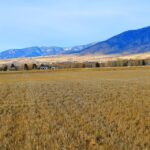 Belgrade MT 59714 - 2