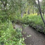 Bozeman MT 59715 - 1