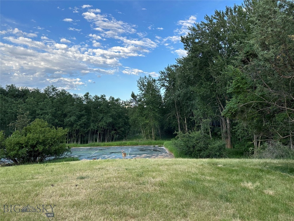 TBD Spring Creek Drive