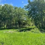 Bozeman MT 59715 - 7