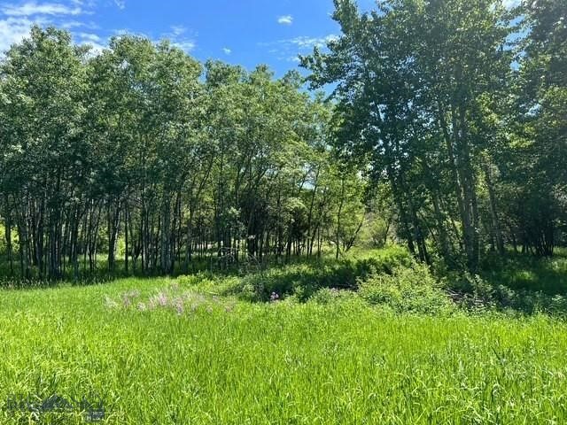 Bozeman MT 59715 - 7