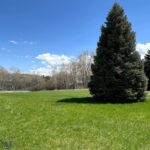 TBD Spring Creek Drive