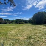 TBD Spring Creek Drive