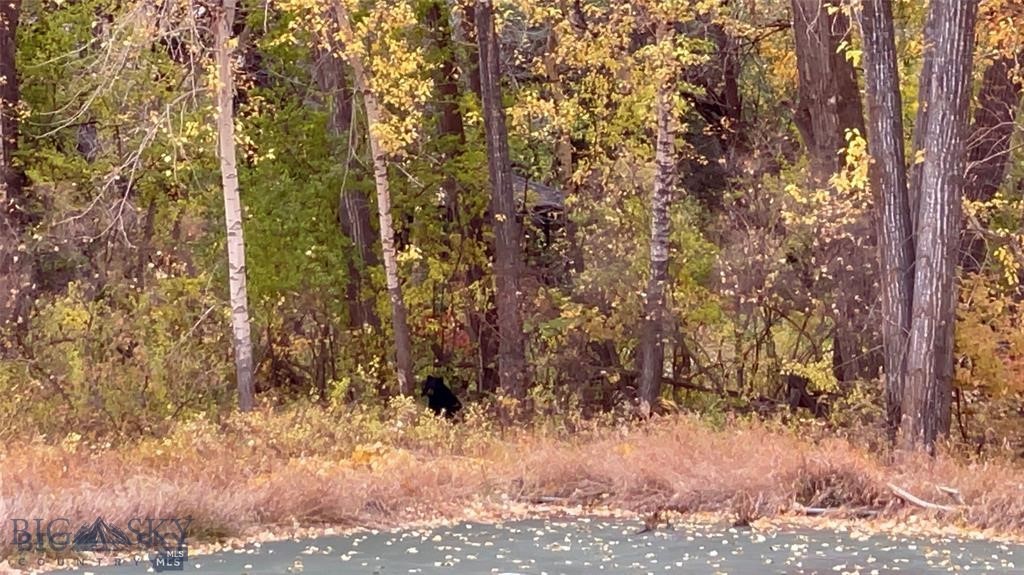 Bozeman MT 59715 - 9