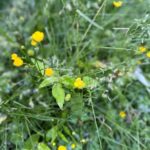 Bozeman MT 59715 - 10