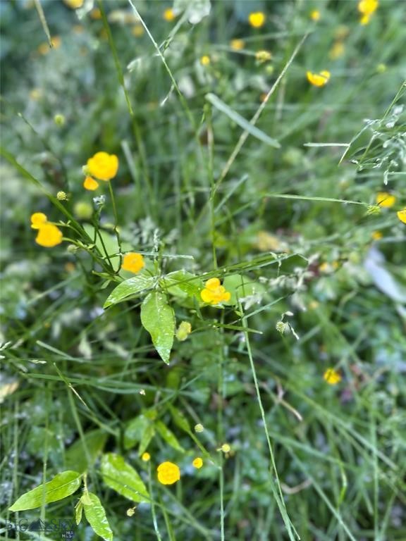 Bozeman MT 59715 - 10