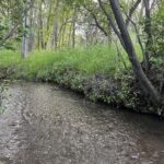 TBD Spring Creek Drive