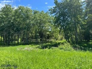 TBD Spring Creek Drive, Bozeman MT 59715