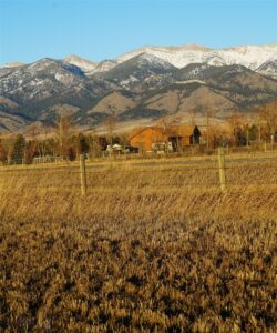 TBD Springhill, Belgrade MT 59714