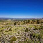 Belgrade MT 59714 - 12