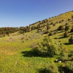 Springhill Vistas Ranch at Four Bar Ranches