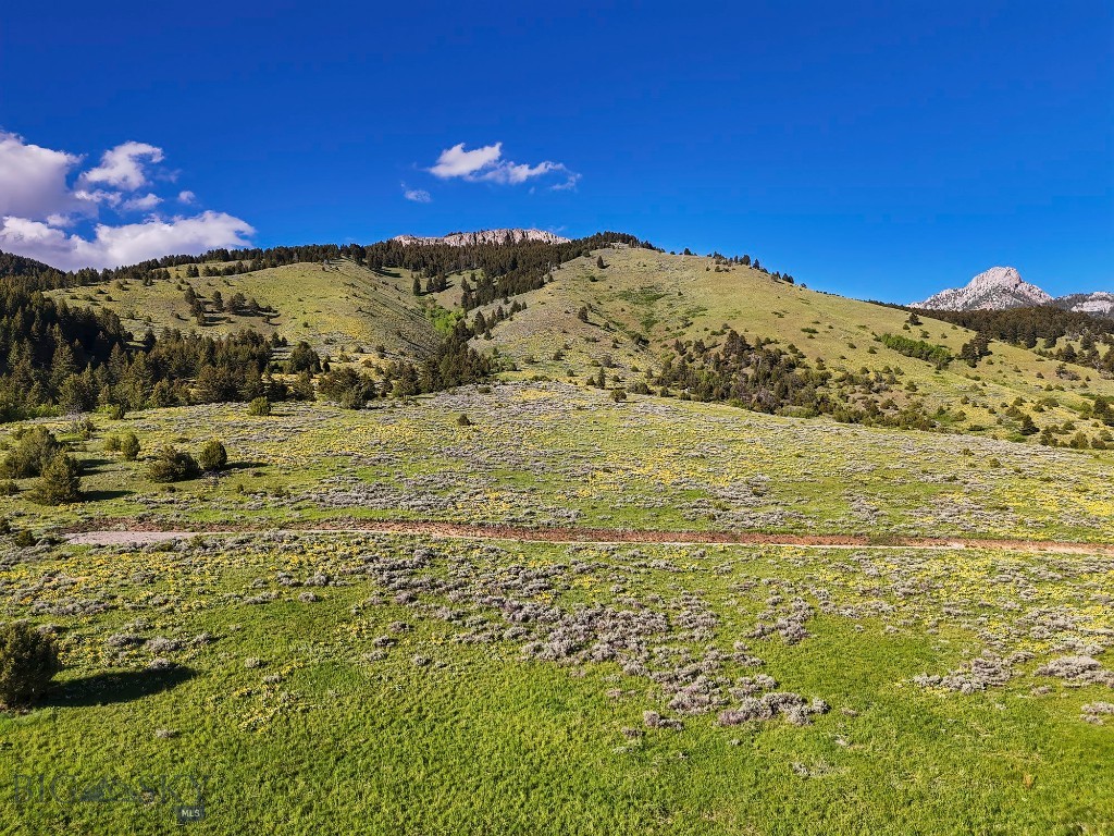 Belgrade MT 59714 - 21