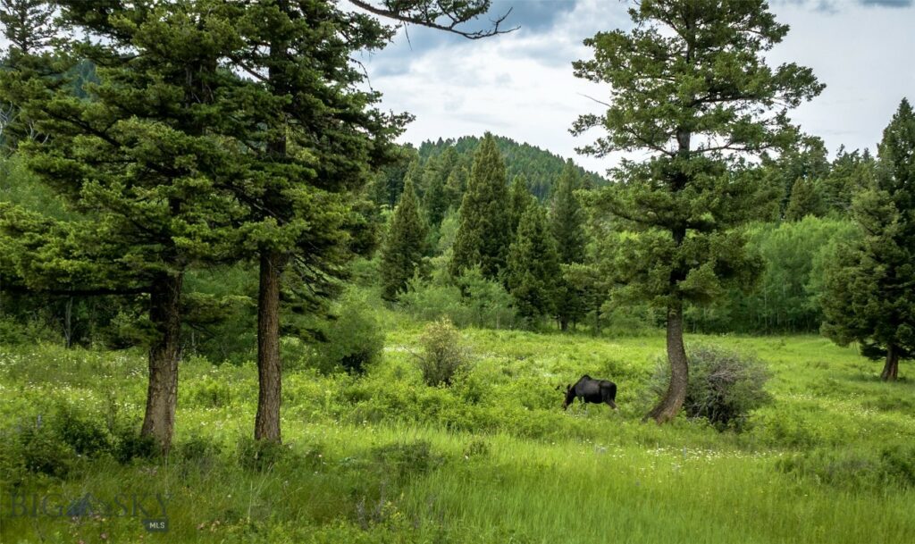 Ranch 11 North Pass Ranches