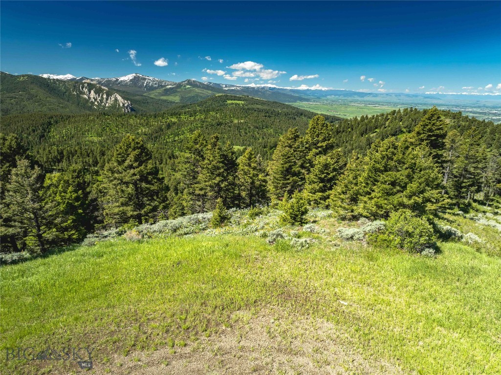 Bozeman MT 59715 - 2