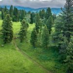 Ranch 4 North Pass Ranches