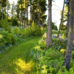 Bozeman MT 59718 - 7