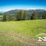 Ranch 6 North Pass Ranches