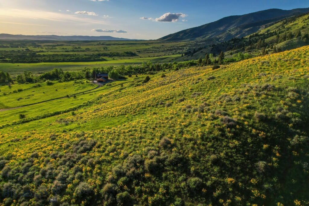 Belgrade MT 59714 - 1