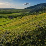 Belgrade MT 59714 - 1