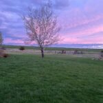 Belgrade MT 59714 - 2