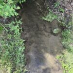 TBB Reynolds Creek Road