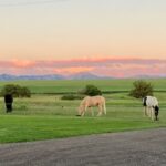 Belgrade MT 59714 - 3