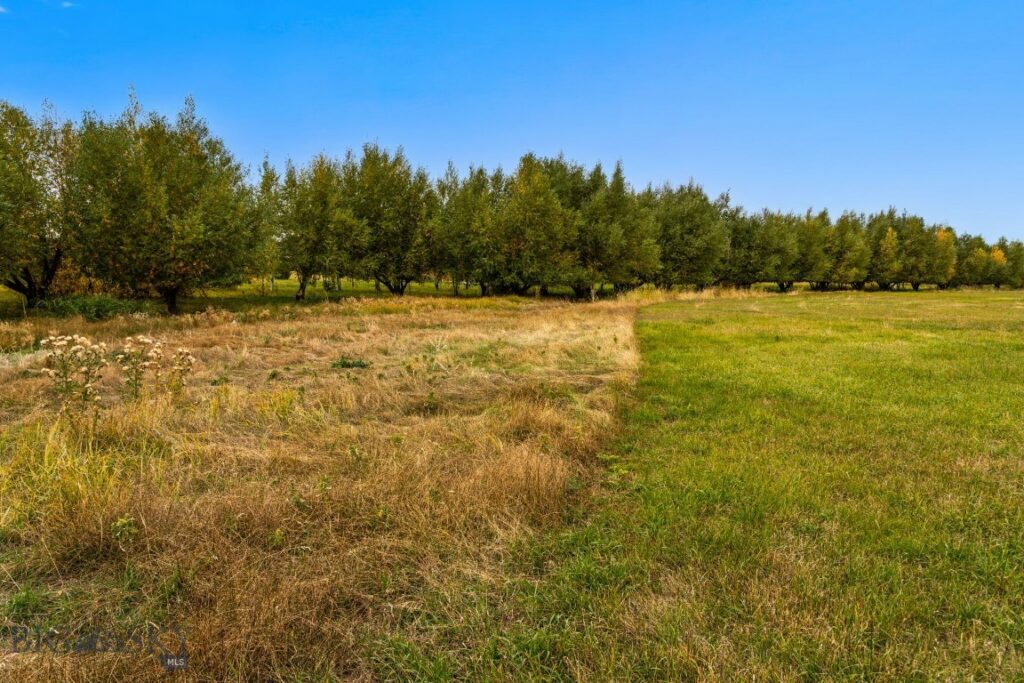 Bozeman MT 59718 - 19