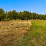 Bozeman MT 59718 - 19