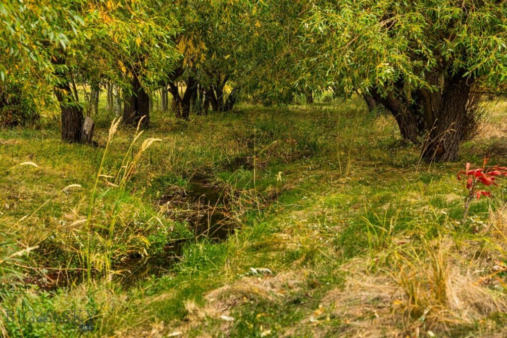 Bozeman MT 59718 - 21