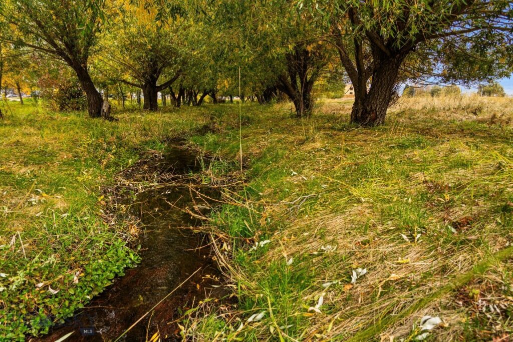 Bozeman MT 59718 - 22