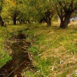 Bozeman MT 59718 - 22