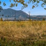 Bozeman MT 59718 - 23