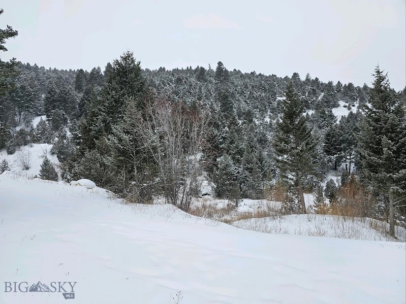 TBD Alder Gulch