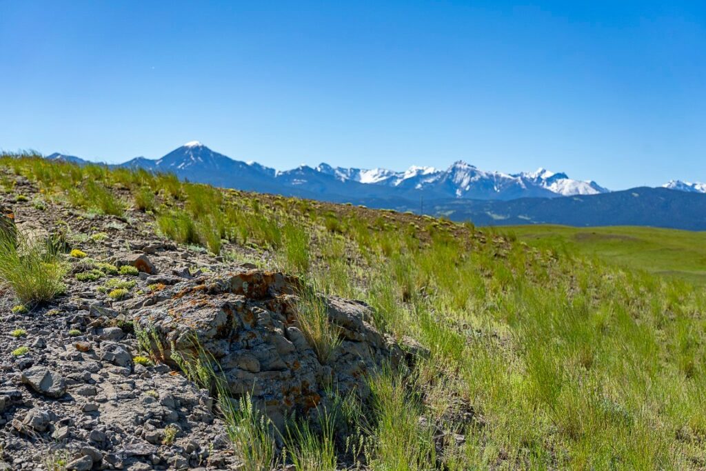 TBD Basin Trail