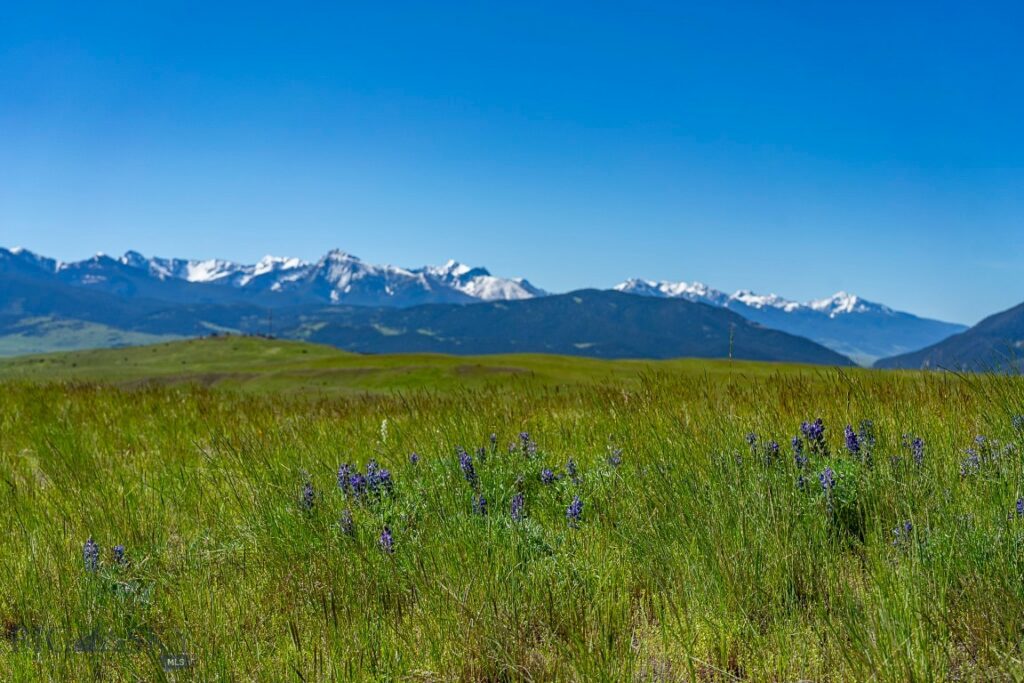 TBD Basin Trail