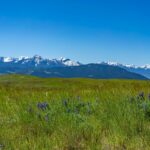 TBD Basin Trail