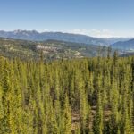 Big Sky MT 59716 - 1
